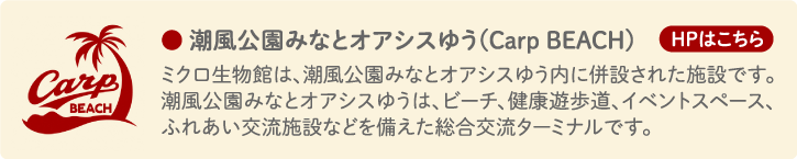 カープビーチHPリンク