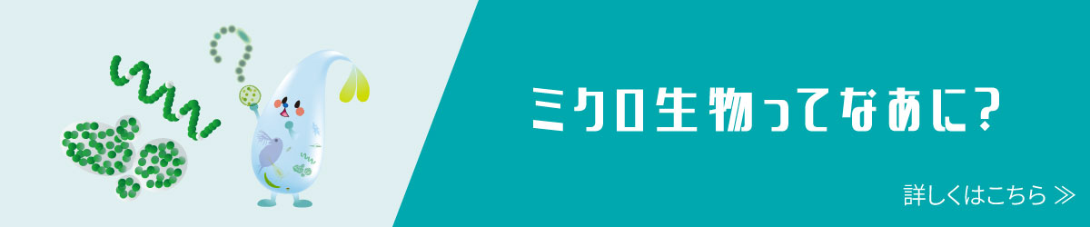 ミクロ生物ってなあに？バナー