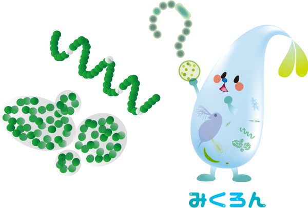 ミクロ生物ってなあに？