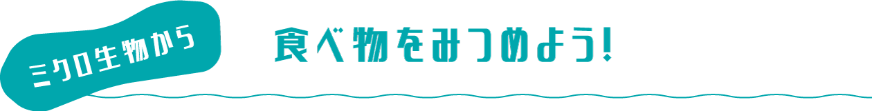 食べ物をみつめよう！