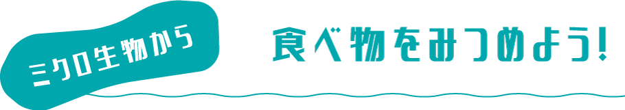 食べ物をみつめよう！