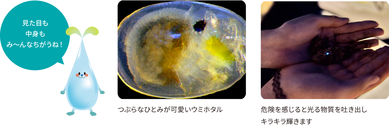 命を知ろう！ミクロ生物たち