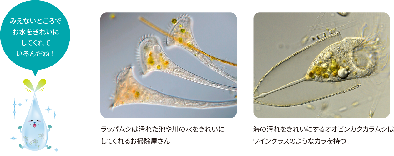 命を知ろう！ミクロ生物たち