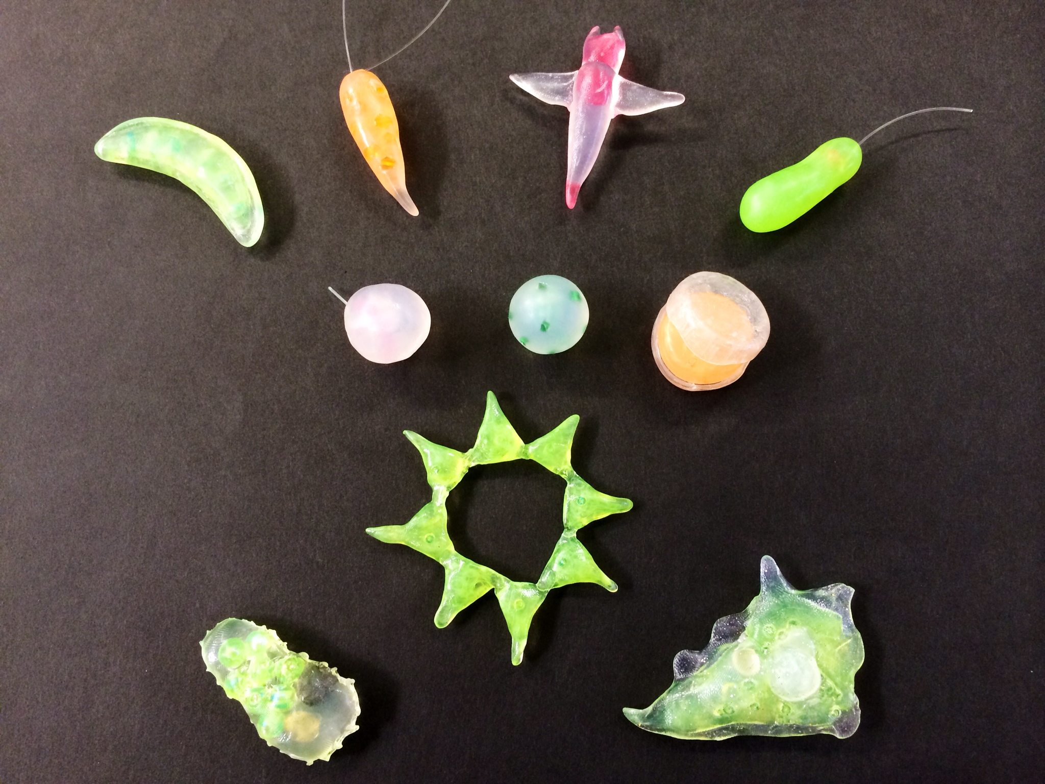 ミクロ生物模型づくりキット